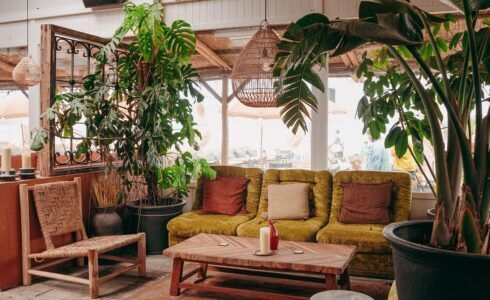 Cosy seats and chair with green plants